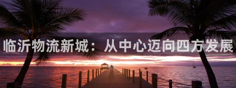 ,优游国际加拿大预测：临沂物流新城：