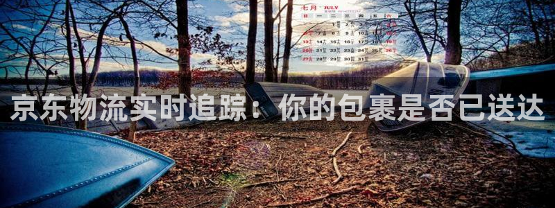 ,优游国际怎么下载教程：京东物流实时追踪：你的包裹是否已送达