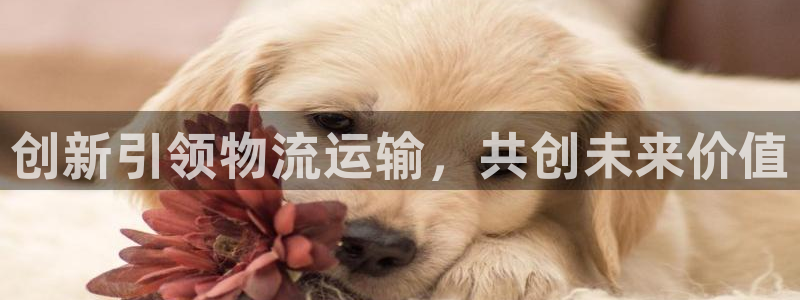 ,优游国际百度百科：创新引领物流运输