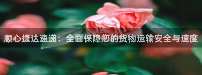 ,优游国际充值不到账怎么办：顺心捷达
