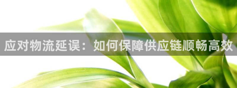 优游国际官网下载链接是什么