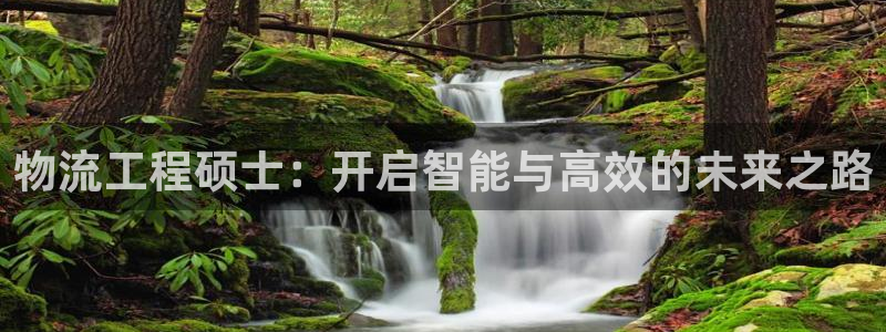 ,优游国际注册登录链接：物流工程硕士