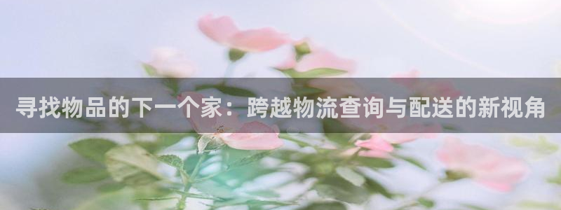 ,优游国际自行车图片：寻找物品的下一个家：跨越物流查询与配送