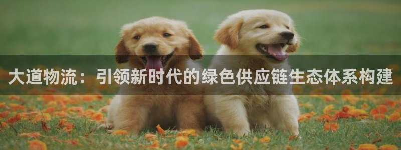 ,优游国际官网版2024：大道物流：