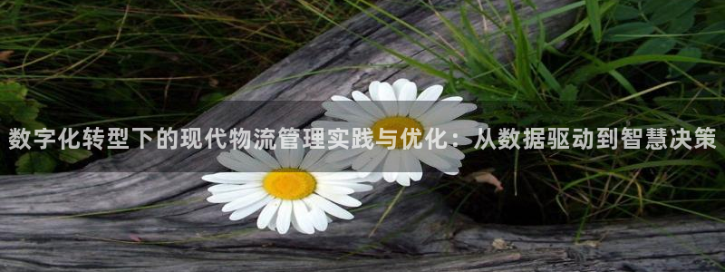 ,优游国际官方版正版：数字化转型下的