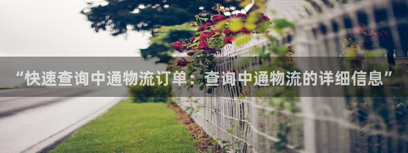 ,优游国际旗下：“快速查询中通物流订