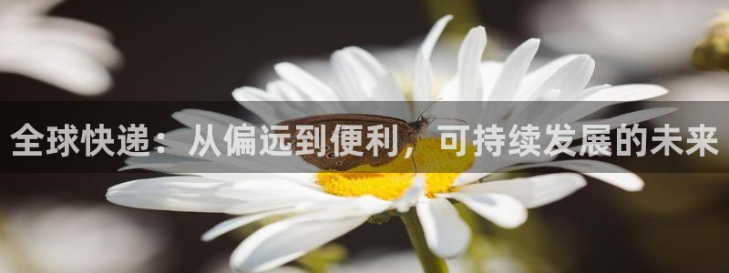 ,优游国际忘记账号