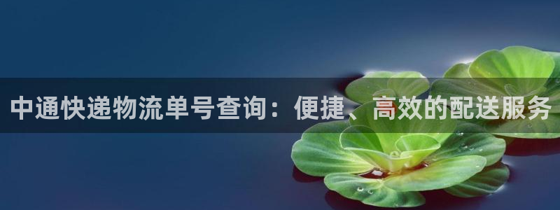 优游国际官网下载APP