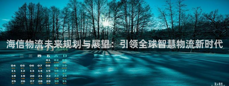 ,优游国际官方官网：海信物流未来规划与展望：引领全球智慧物流