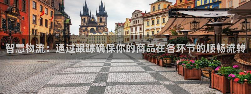 ,优游国际是什么软件