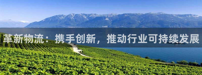 ,优游国际开奖预测：革新物流：携手创