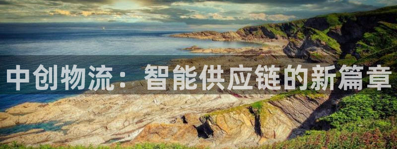 ,优游国际昵称:中创物流:智能供应链