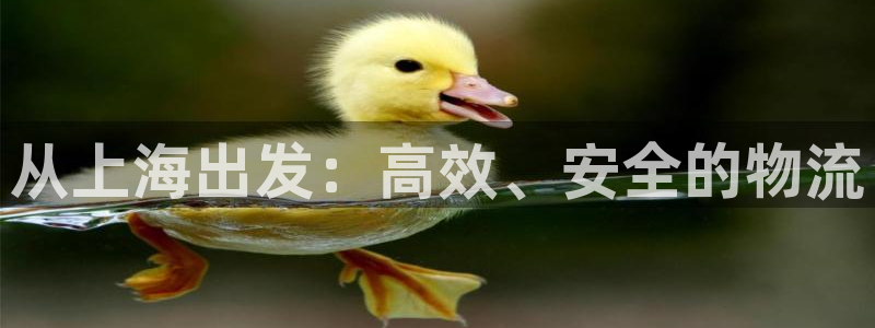 ,优游国际提现不到账:从上海出发:高