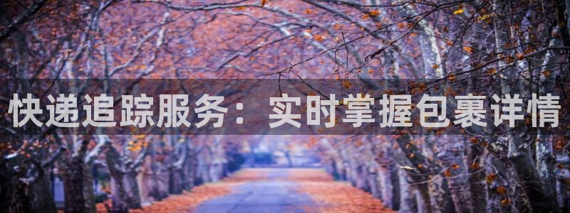 ,优游国际麻将胡了在线试玩：快递追踪