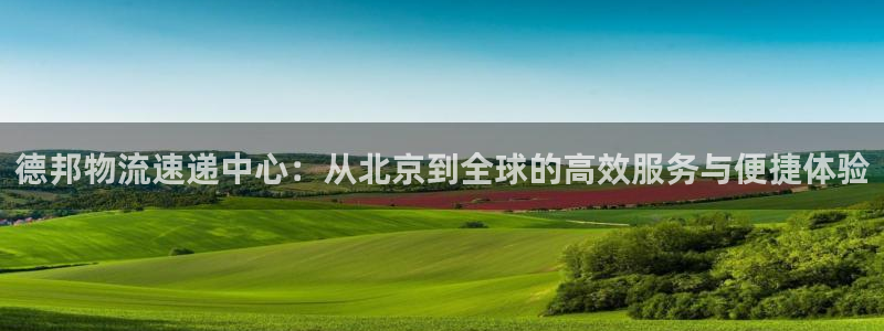 ,优游国际免费:德邦物流速递中心:从