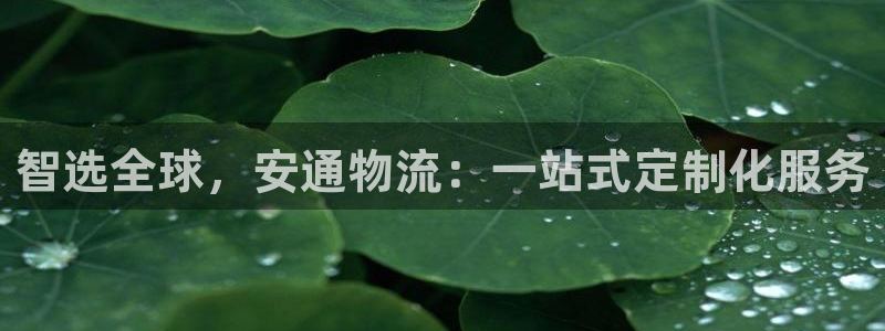 ,优游国际充值不处理怎么办：智选全球