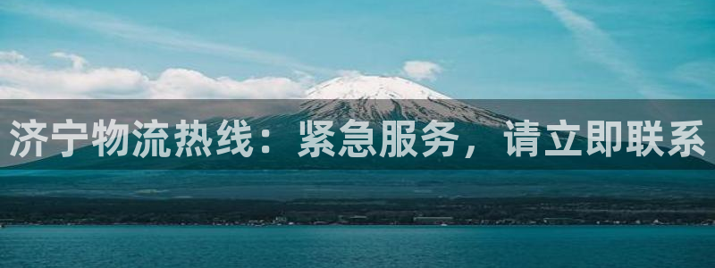 ,优游国际农业银行是狗卡吗:济宁物流