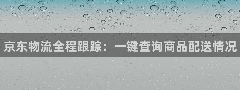 ,优游国际初始密码在哪里修改的:京东
