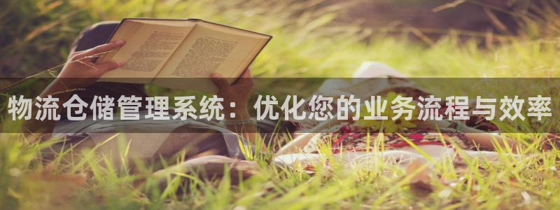 ,优游国际官网网站：物流仓储管理系统：优化您的业务流程与效率