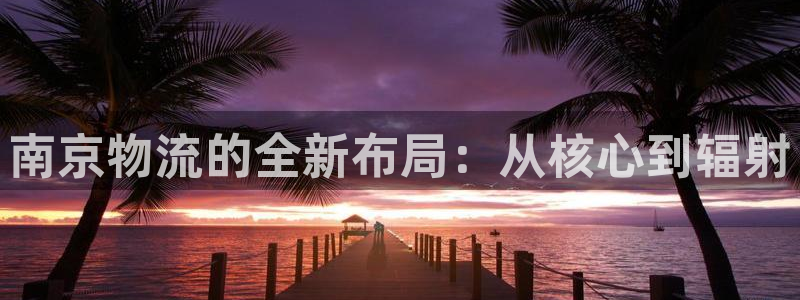 ,优游国际怎么注册:南京物流的全新布