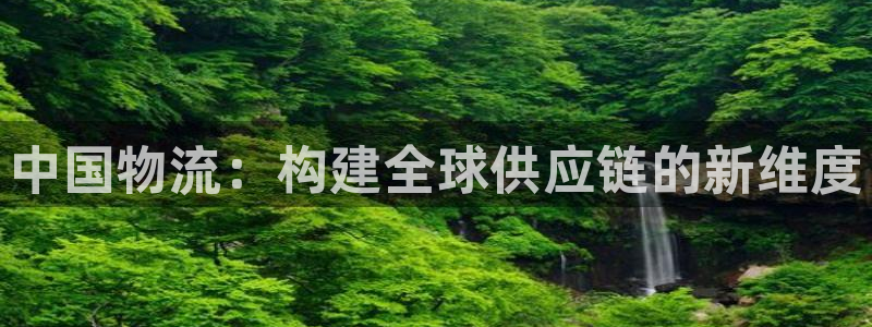,优游国际取保:中国物流:构建全球供