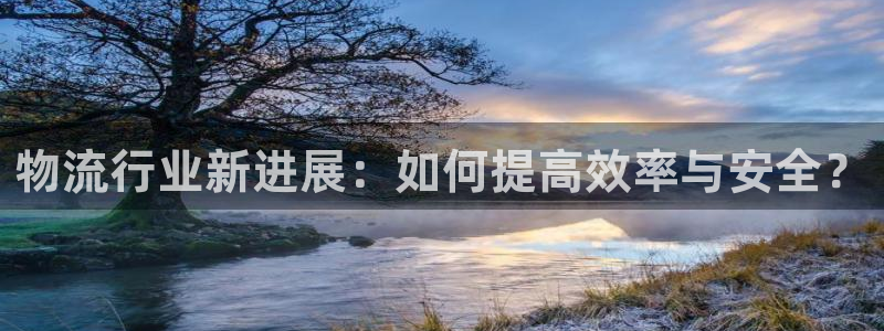,优游国际免费充钱：物流行业新进展：如何提高效率与安全？