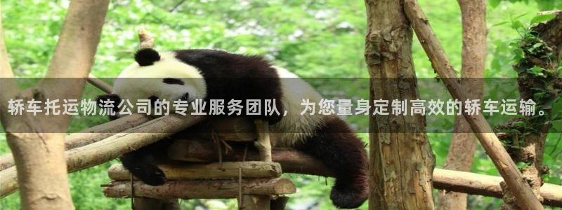,优游国际是干嘛的:轿车托运物流公司