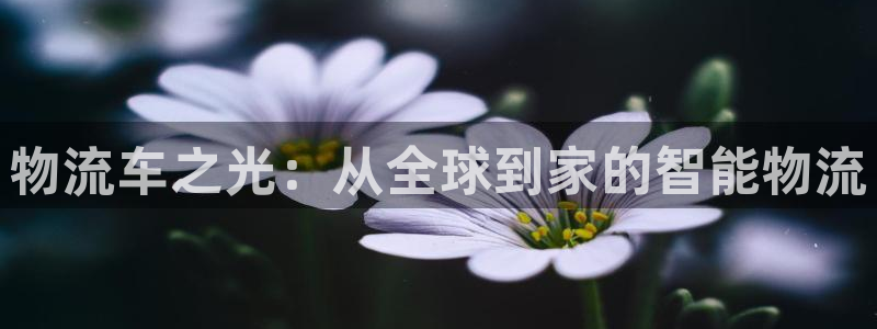 ,优游国际分分28输了能不能退：物流