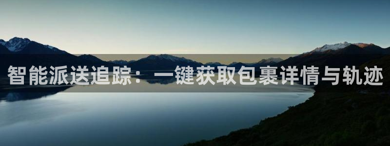 ,优游国际模拟：智能派送追踪：一键获