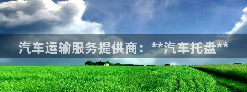 ,优游国际加拿大技巧：汽车运输服务提供商：**汽车托盘**